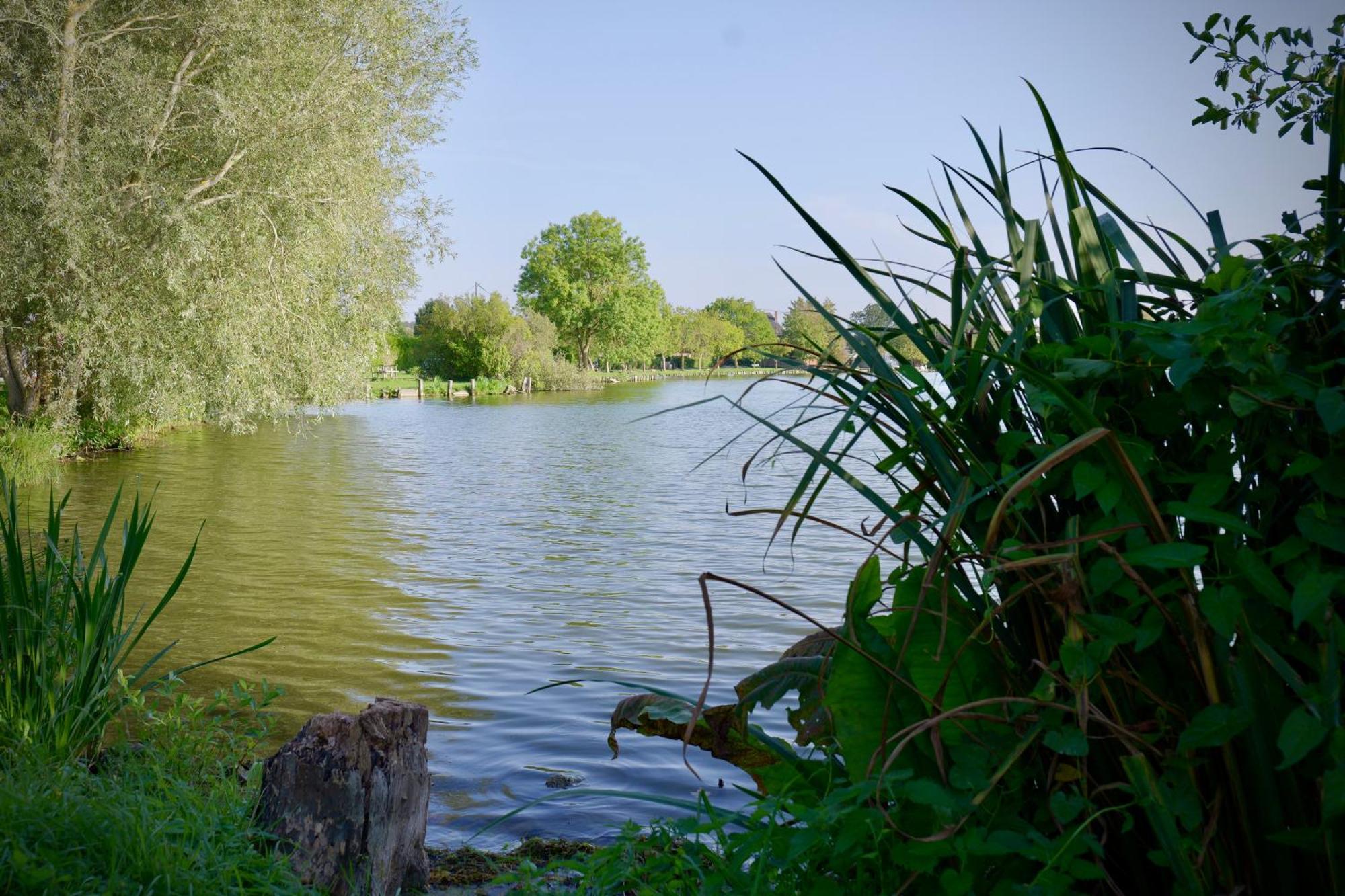 Les Chambres Du Moulin Arleux-du-Nord Buitenkant foto