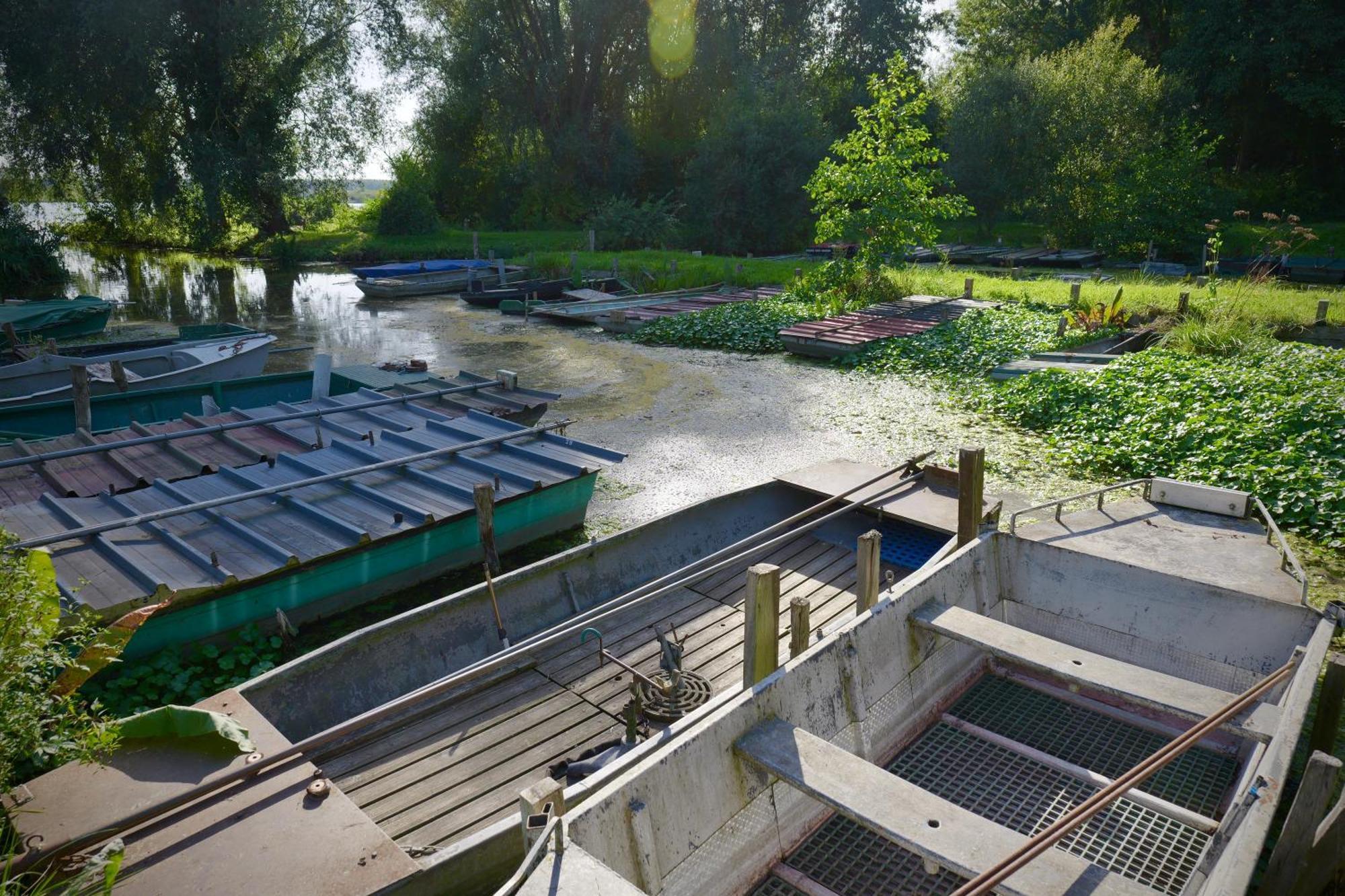 Les Chambres Du Moulin Arleux-du-Nord Buitenkant foto
